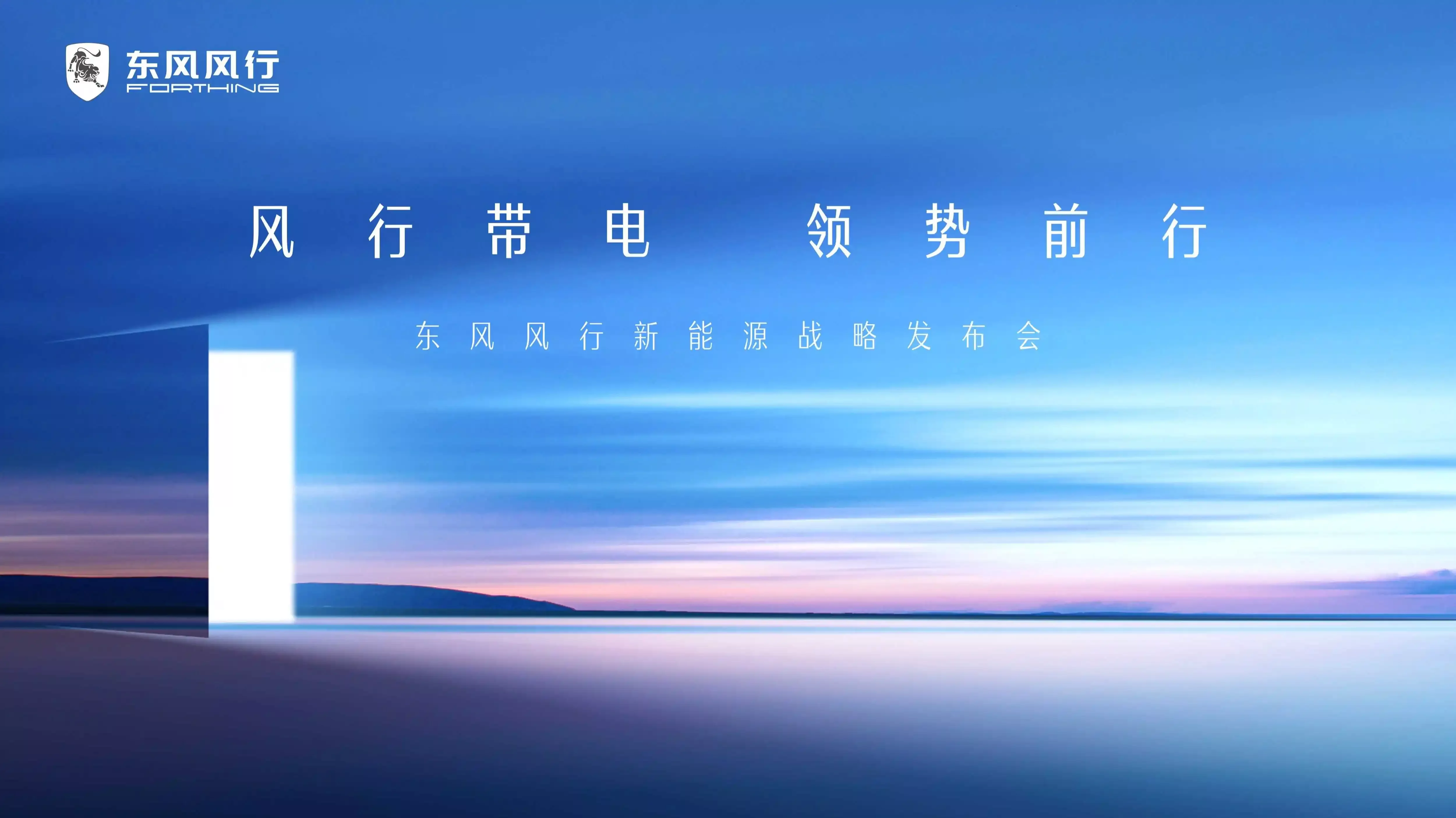 东风风行战略发布